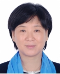 胡清 南方科技大学教授/主任